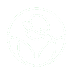 https://www.thecottagepreschool.com.au/wp-content/uploads/2019/08/white_rose.png